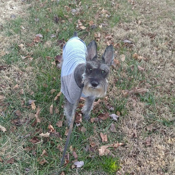 Meet your Posher, Melanie 💙 - Picture 6 of 7